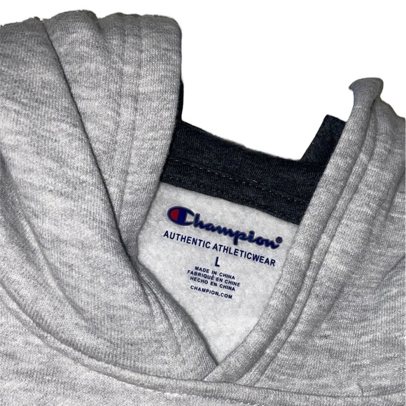 Gray champion hoodie, size L - Picture 3 of 9